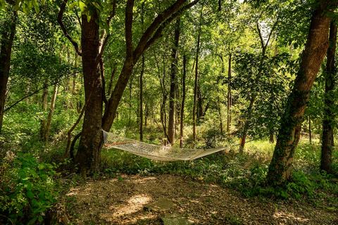 Shaded hammock hung in the woodland, a quiet spot on the 65 acres guests can roam